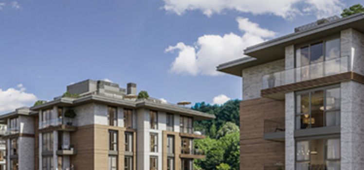 Mesa Orman